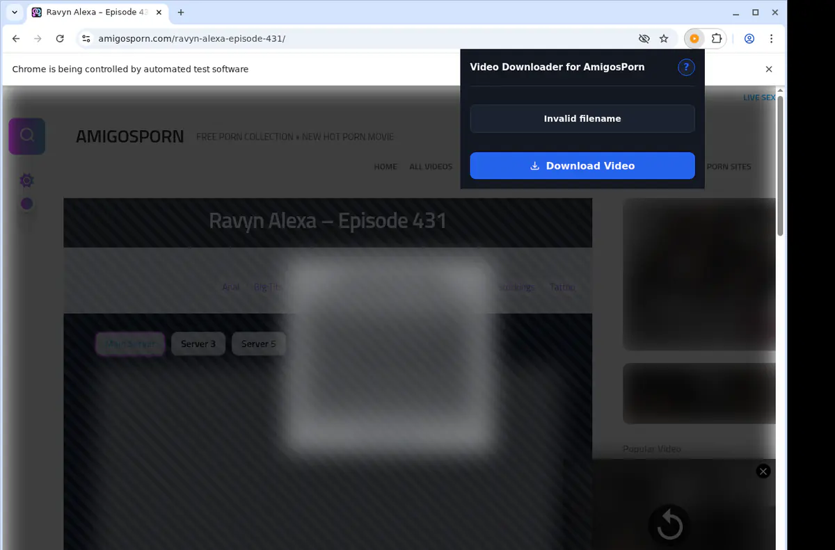 Amigosporn Video Downloader screenshot 2