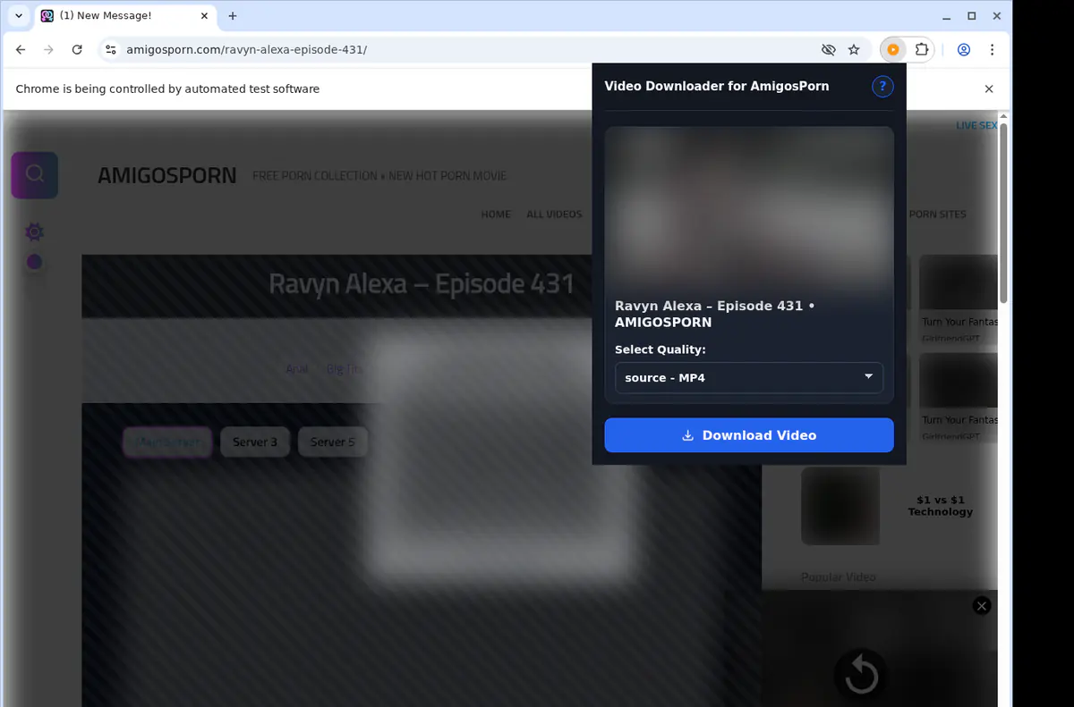 Amigosporn Video Downloader screenshot 3