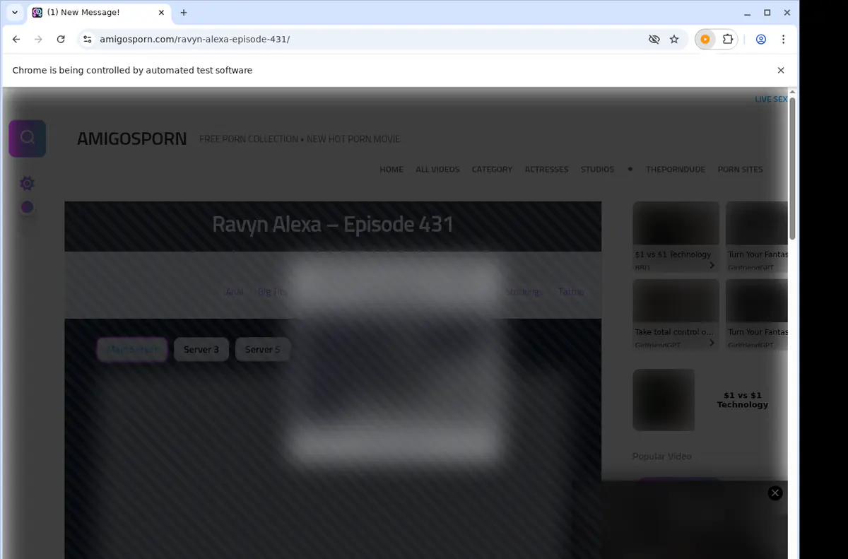 Amigosporn Video Downloader screenshot 5